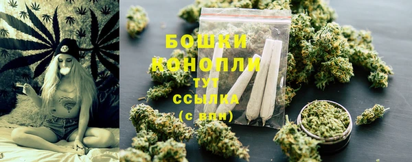 PSILOCYBIN Балабаново