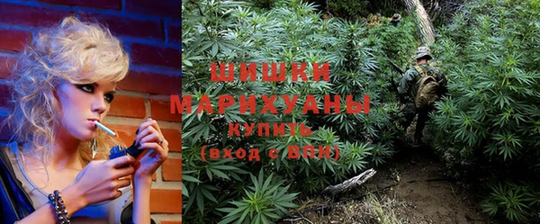 PSILOCYBIN Балабаново