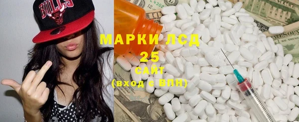 PSILOCYBIN Балабаново
