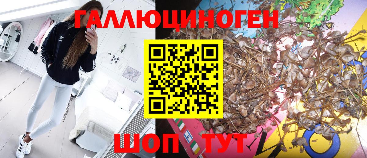 Галлюциногенные грибы прущие грибы Реутов