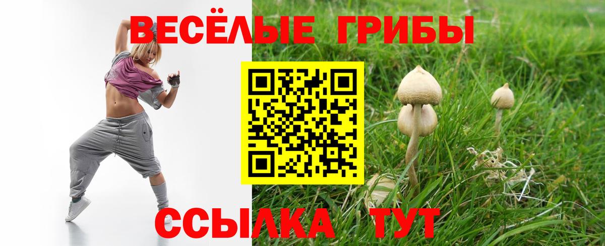 Галлюциногенные грибы Psilocybe  Галлюциногенные грибы мухоморы  Вход с VPN  Реутов 